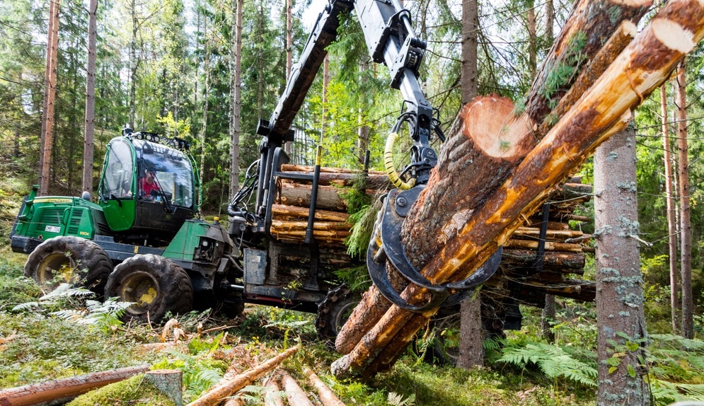 Skogsskördare