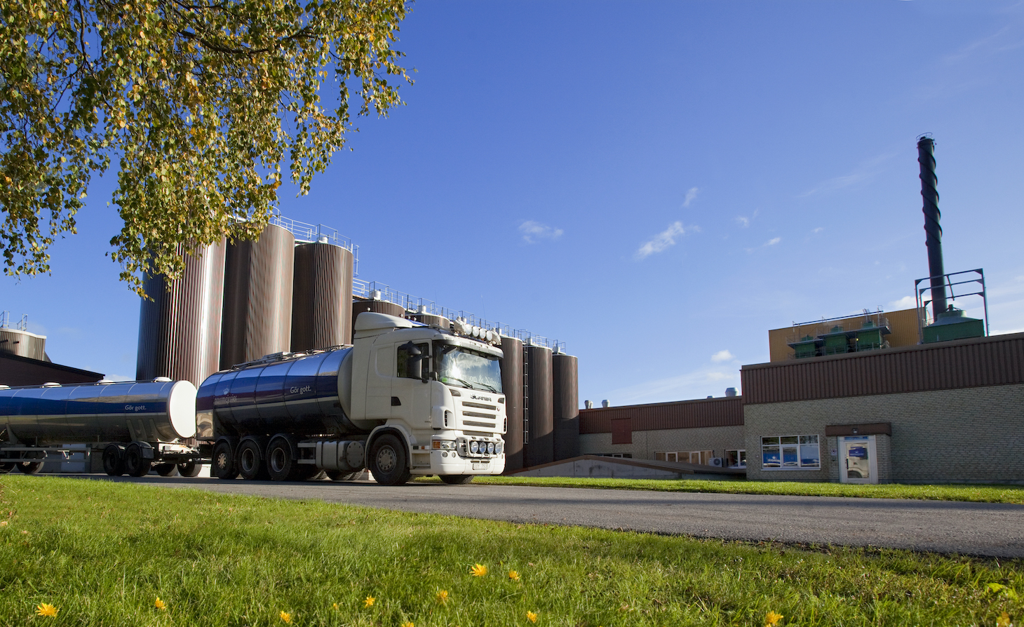 Umeå Mejeri Norrmejerier