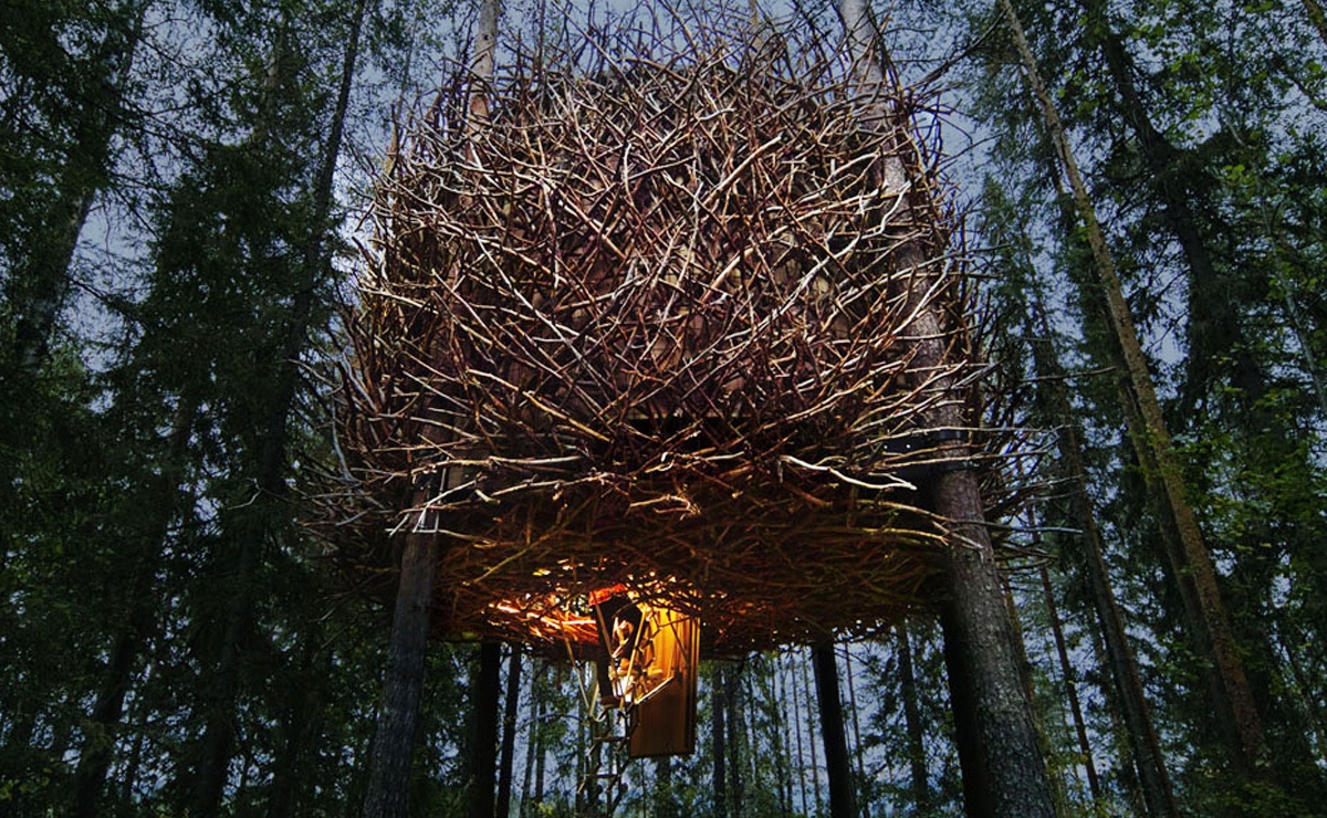 Treehotel hedrat i Design S