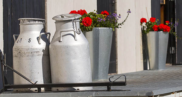 mjölkkannor