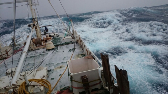 Säljakten är historia i Tromsö