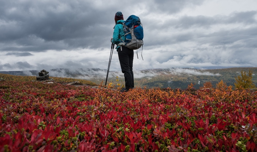 Rekord För Turismen