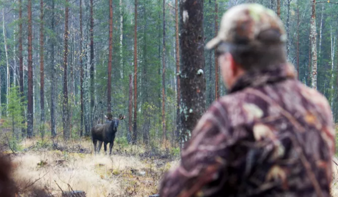 Hide & See nominerat till Stora turismpriset