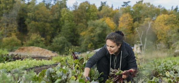 Regler i gröna näringar