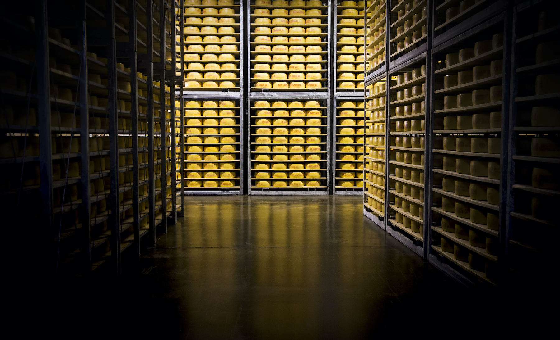 Västerbottensost (1)