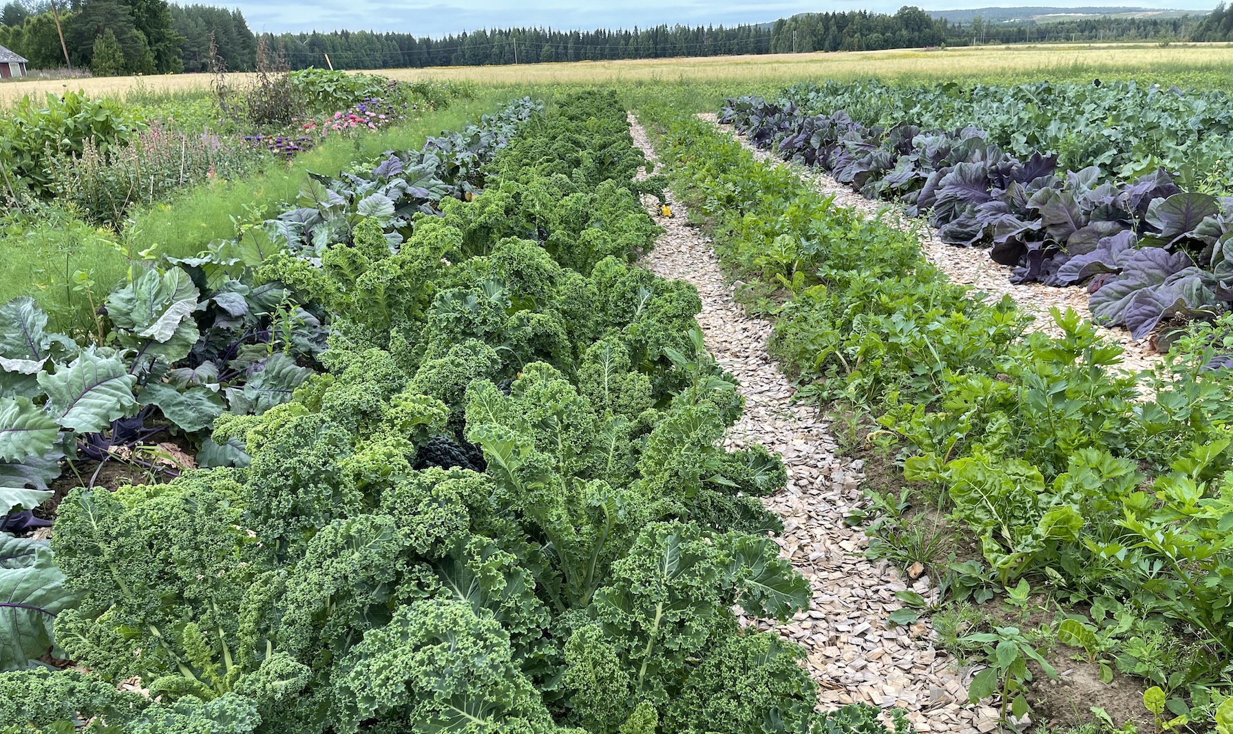 Öjeby Lantbruksmässa