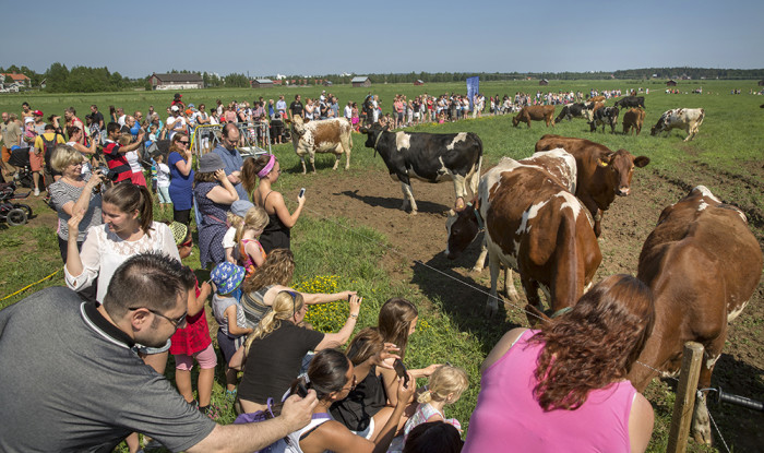 Betessläpp Norrmejerier