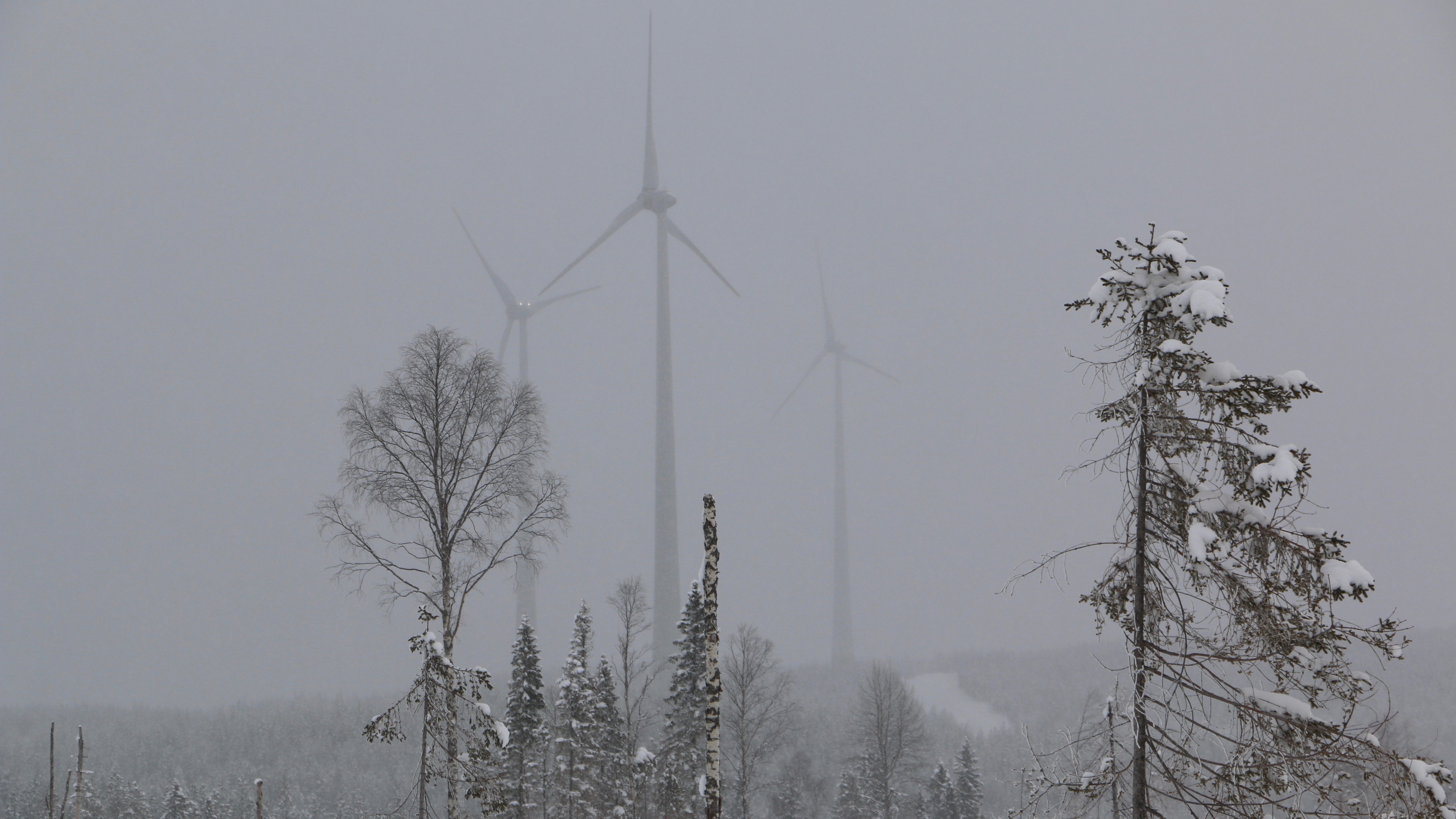 Vindkraftverk i Markbygden (1)