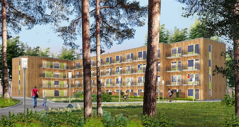 Amasten I Luleå (1)