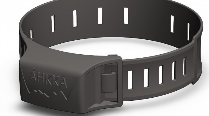 Tannak halsband för renar