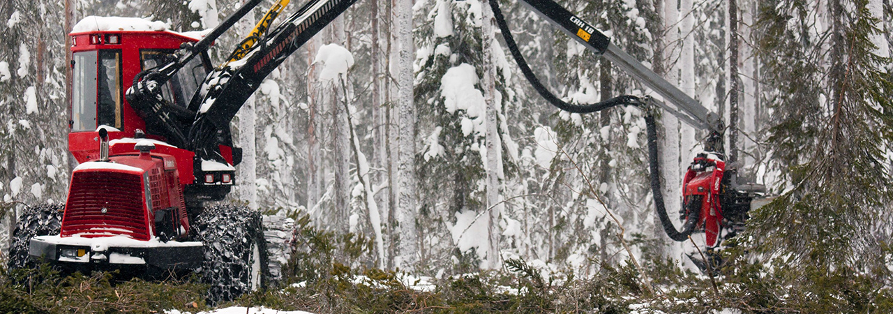 skogsbruk vinter