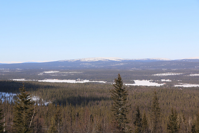 Skogsstyrelsen kollar avverkningar med helikopter