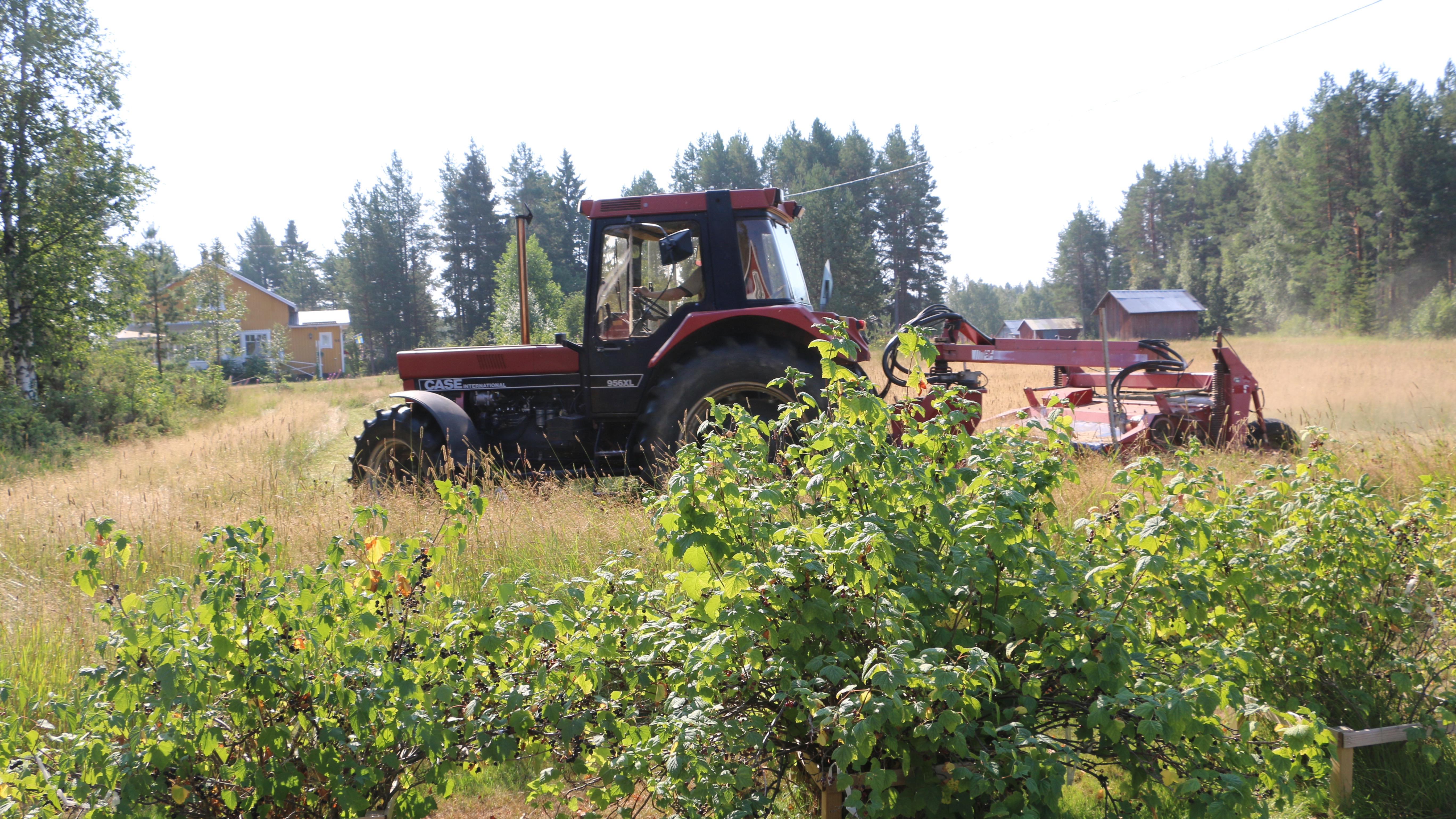 Traktor i rörbäck (2)