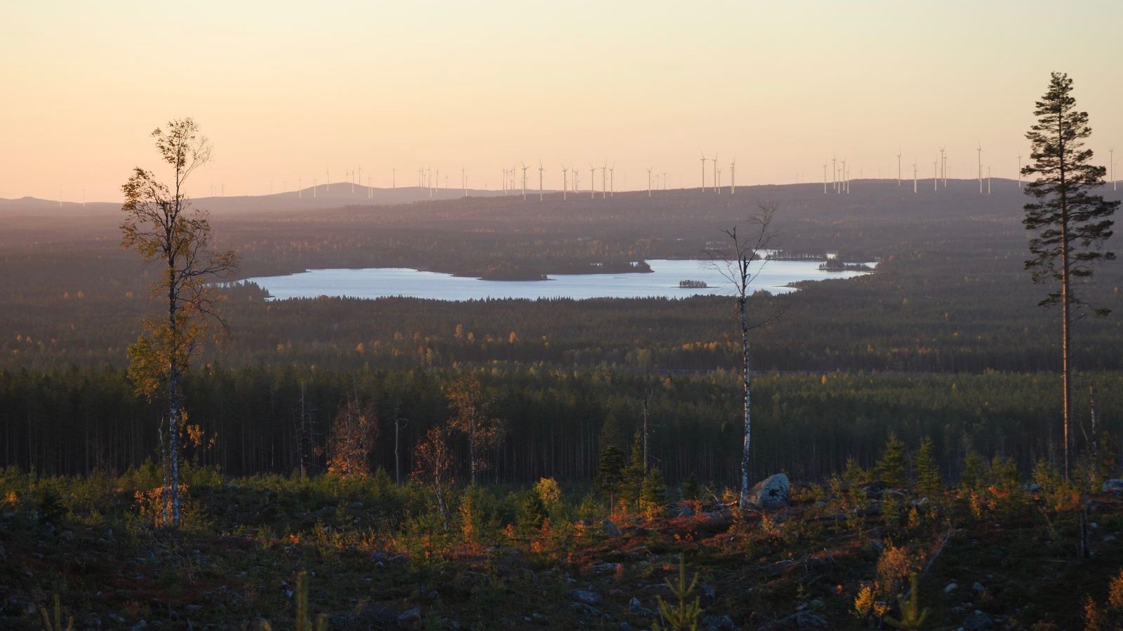 Markbygden Ett finansierad (1)