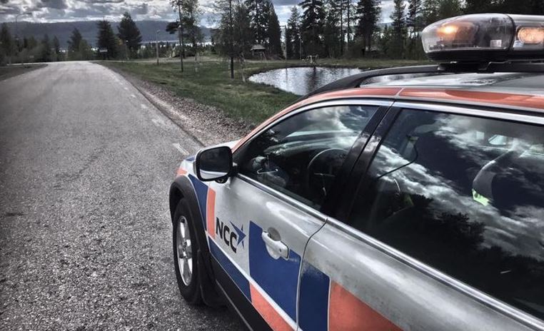 8Cf20996a008a328 800X800ar