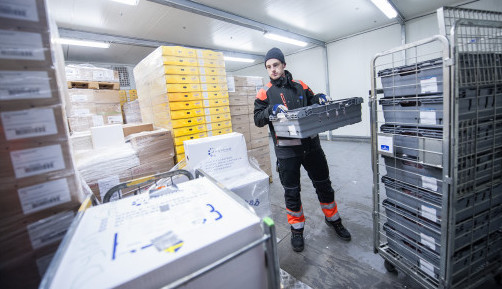 K3gvpxlxeiu2g8ygsq6w