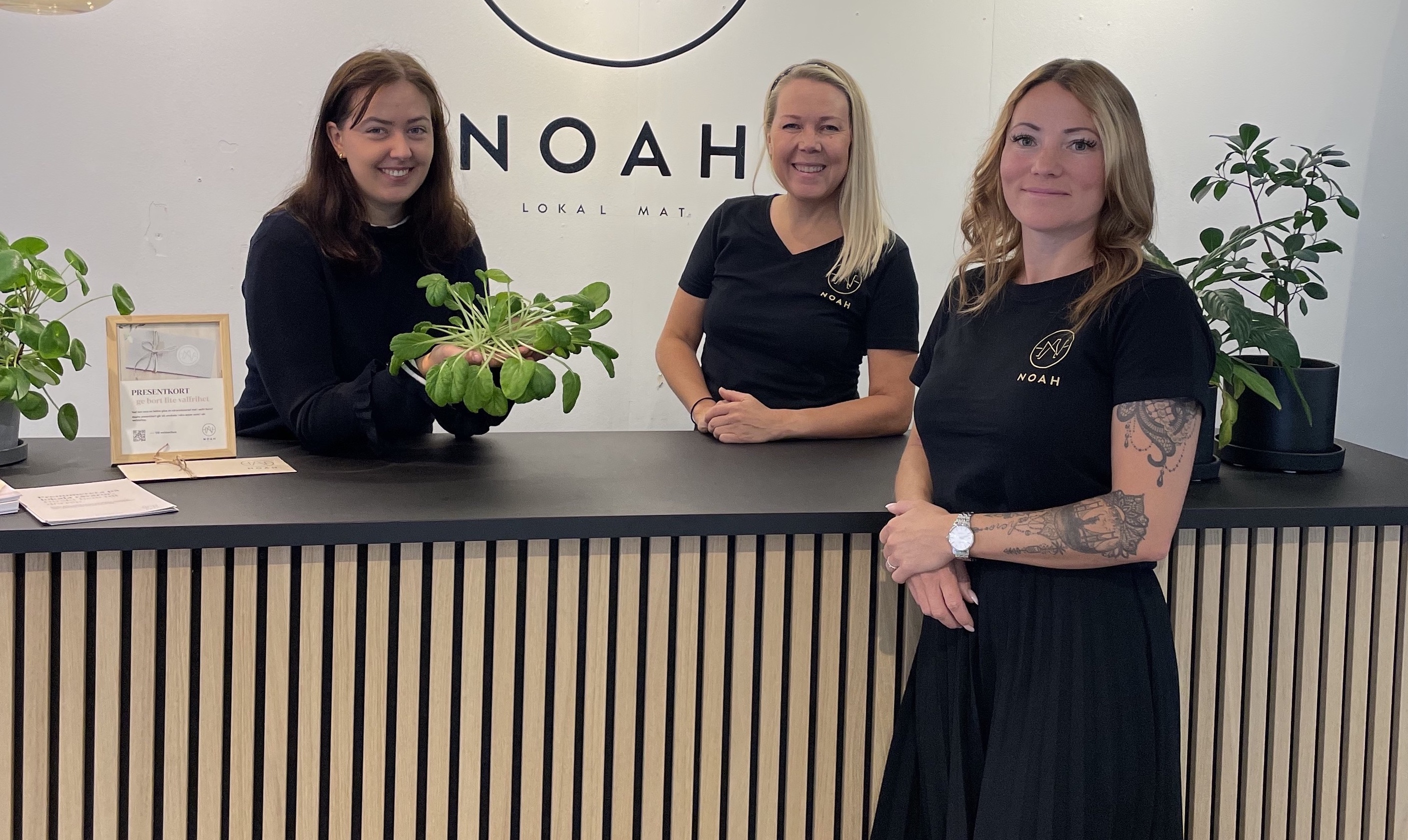 Noah O Containing Greens