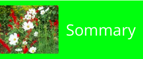 Sommary