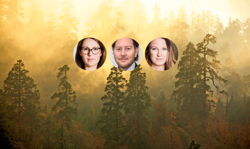 Sunpines hållbarhetspris