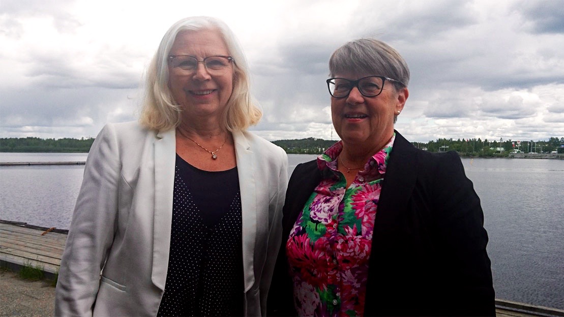 Anne Karlenius o Annelie Fredriksson