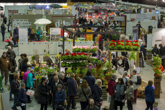 Nolia trädgård slog besöksrekord