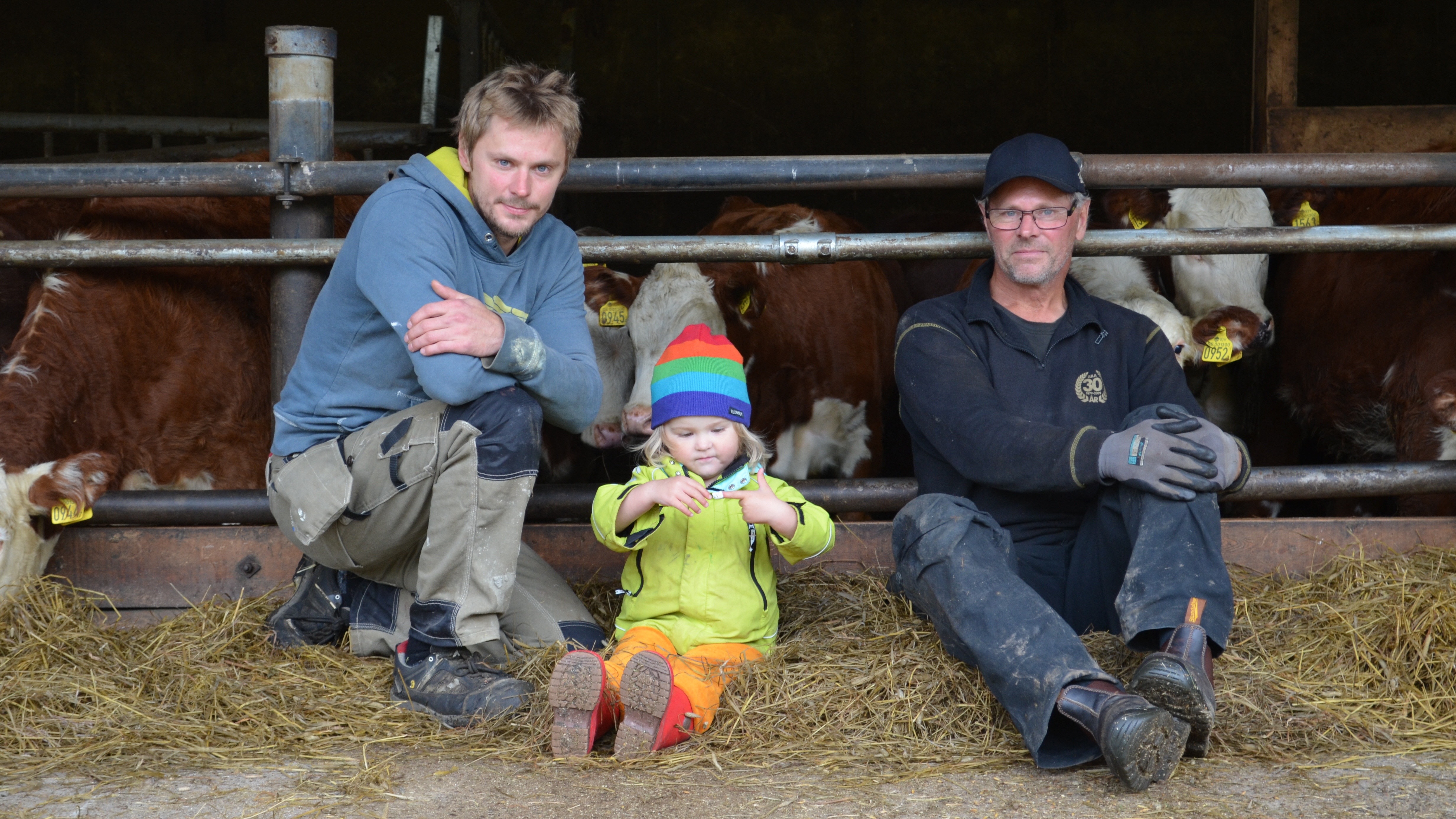 Antnäs lantgård Årets nötköttsföretag