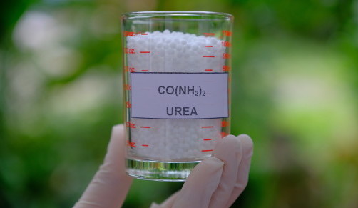 Urea