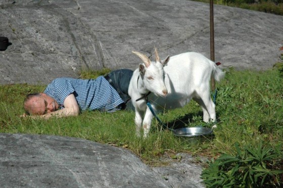 Buchts bock på plats