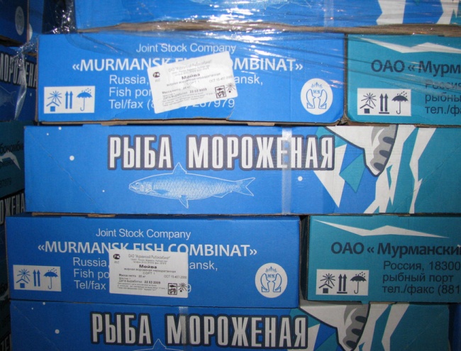 Murmansk fiskfabrik stänger