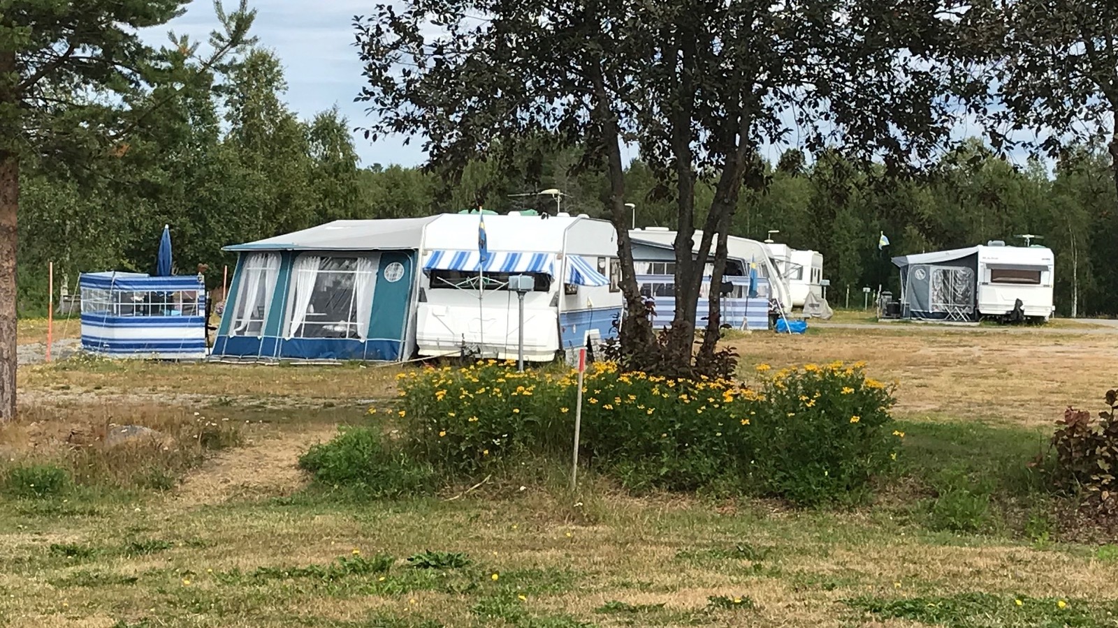 Töre Camping (1)