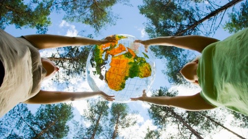 Regionala exportcentra