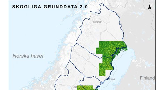 Skogsägare kan se sin skog i datorn