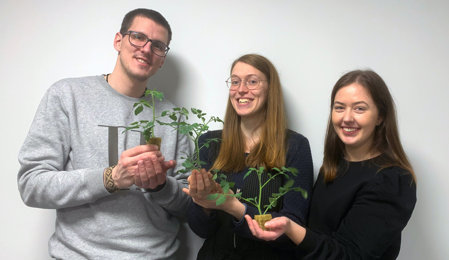 Containing Greens (1)