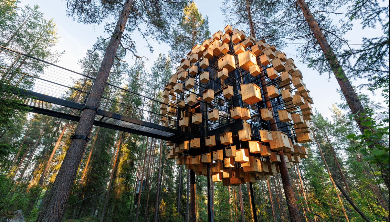 Treehotel Biosfär